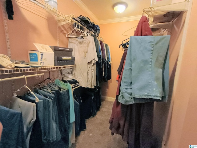 335 Shady Hollow Ln, Talladega, AL 35160 - walk in closet with carpet floors