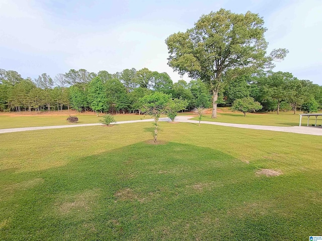 335 Shady Hollow Ln, Talladega, AL 35160 - view of grassy yard