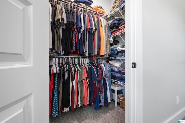185 Meadowbrook Dr, Piedmont, AL 36272 - spacious closet with carpet flooring