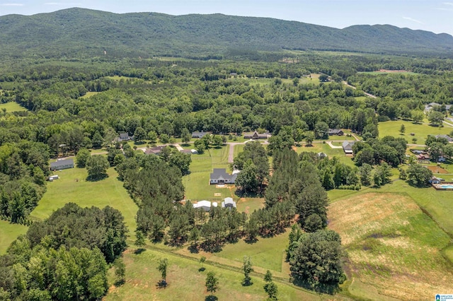 185 Meadowbrook Dr, Piedmont, AL 36272 - aerial view of a mountainous background