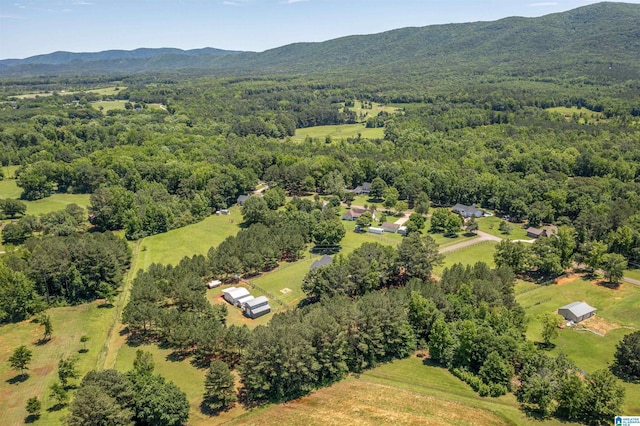 185 Meadowbrook Dr, Piedmont, AL 36272 - drone / aerial view of a heavily wooded area and a mountain backdrop