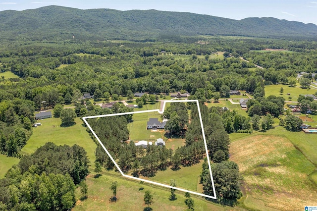 185 Meadowbrook Dr, Piedmont, AL 36272 - view of property location with property parcel outlined, a mountain backdrop, and a forest
