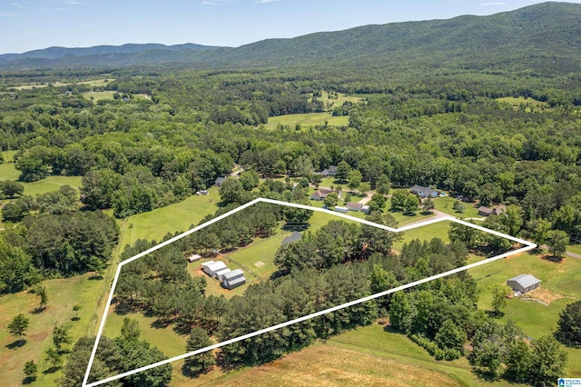 185 Meadowbrook Dr, Piedmont, AL 36272 - aerial overview of property's location featuring property parcel outlined, a forest, and mountains