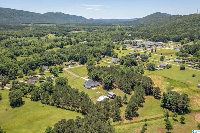 185 Meadowbrook Dr, Piedmont, AL 36272 - drone / aerial view of a mountain backdrop