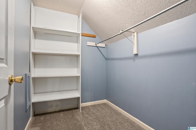 295 Walden Ct, Montevallo, AL 35115 - spacious closet with dark carpet and vaulted ceiling