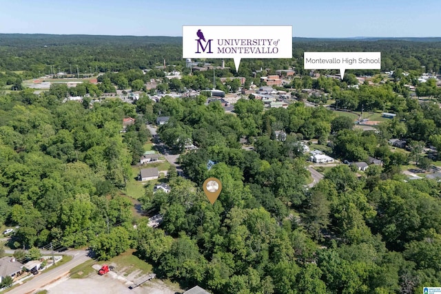 295 Walden Ct, Montevallo, AL 35115 - bird's eye view of a forest