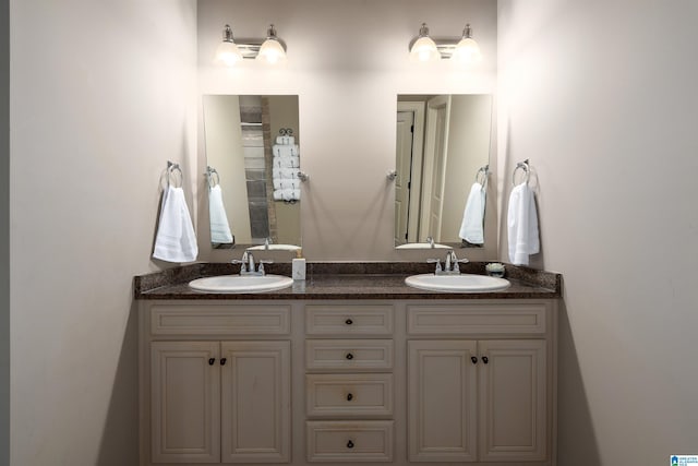 3701 James Hill Ter, Hoover, AL 35226 - bathroom with double vanity and a shower