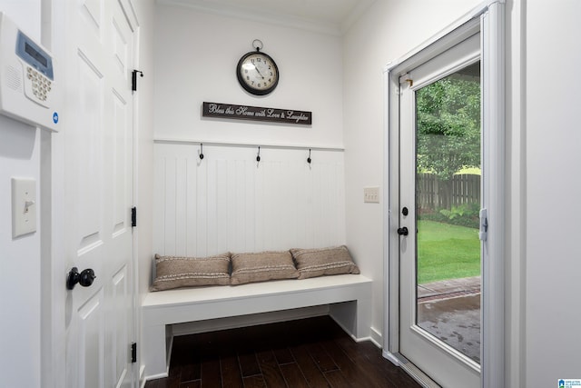 3701 James Hill Ter, Hoover, AL 35226 - mudroom featuring ornamental molding and dark wood-style flooring
