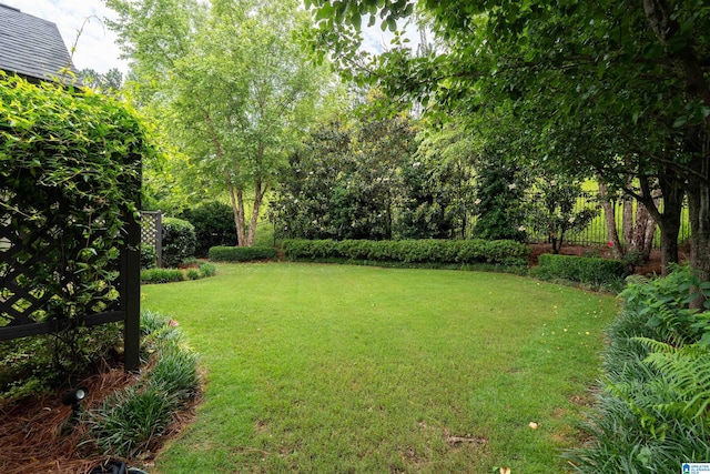 3701 James Hill Ter, Hoover, AL 35226 - view of yard