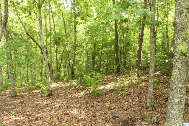 LOT36 Ginhouse Pt Unit 36, Wedowee, AL 36278