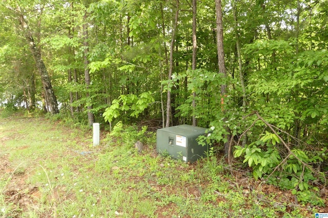 LOT36 Ginhouse Pt Unit 36, Wedowee, AL 36278
