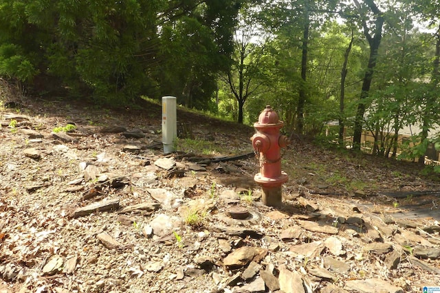 LOT36 Ginhouse Pt Unit 36, Wedowee, AL 36278