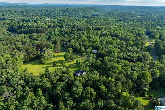 295 Ridge View Way, Springville, AL 35146 - bird's eye view of a heavily wooded area
