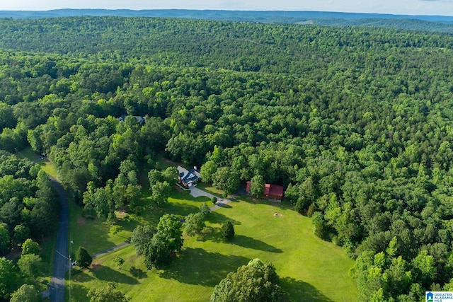 295 Ridge View Way, Springville, AL 35146 - aerial view of a forest