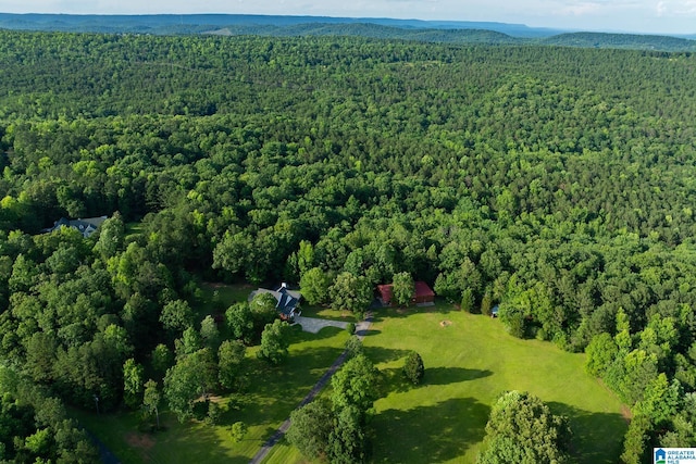 295 Ridge View Way, Springville, AL 35146 - aerial view of a forest