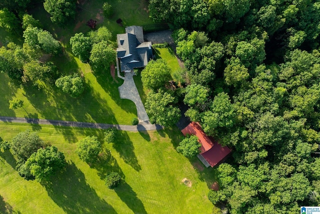 295 Ridge View Way, Springville, AL 35146 - aerial overview of property's location