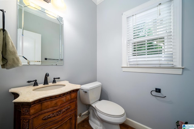 295 Ridge View Way, Springville, AL 35146 - bathroom with toilet, vanity, baseboards, and wood finished floors