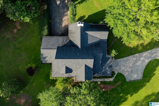 295 Ridge View Way, Springville, AL 35146 - view of subject property