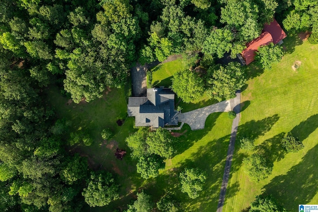 295 Ridge View Way, Springville, AL 35146 - aerial view of property and surrounding area