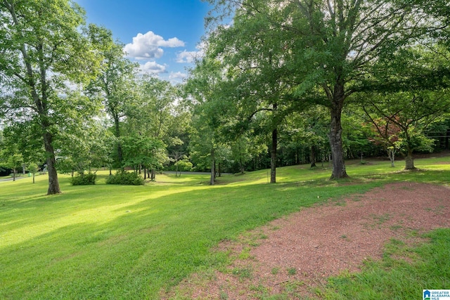 295 Ridge View Way, Springville, AL 35146 - view of grassy yard featuring view of scattered trees