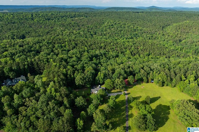 295 Ridge View Way, Springville, AL 35146 - aerial view of a heavily wooded area and a mountainous background