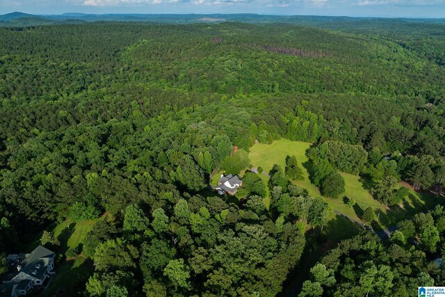 295 Ridge View Way, Springville, AL 35146 - aerial view of property's location with a heavily wooded area