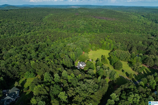 295 Ridge View Way, Springville, AL 35146 - aerial view of property and surrounding area with a forest