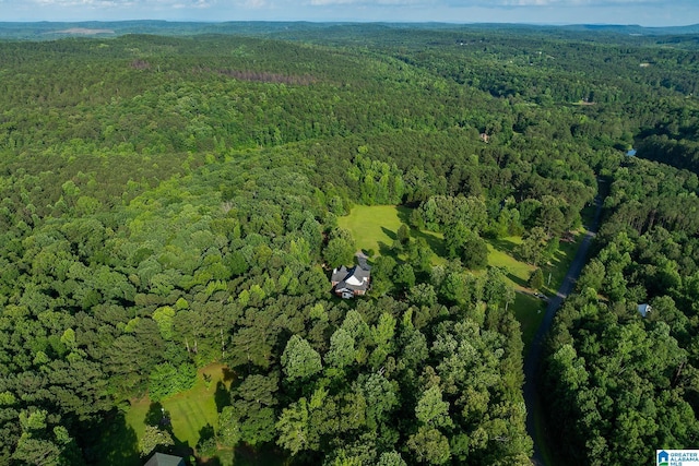 295 Ridge View Way, Springville, AL 35146 - aerial overview of property's location featuring a forest