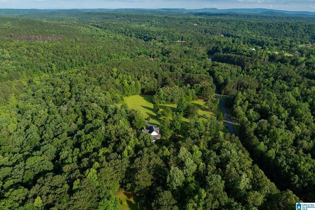295 Ridge View Way, Springville, AL 35146 - aerial overview of property's location featuring a heavily wooded area