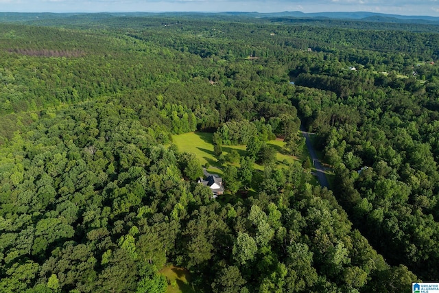 295 Ridge View Way, Springville, AL 35146 - aerial view of property's location featuring a forest