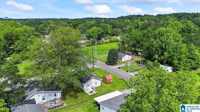 114NW Morgan Ave, Cullman, AL 35055 - drone / aerial view of a forest