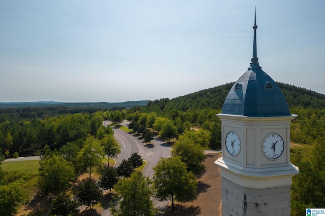 464 Crossbridge Rd, Chelsea, AL 35043 - view of mountain background with a forest