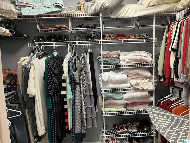 50 Ashton Ln, Sylacauga, AL 35150 - view of spacious closet