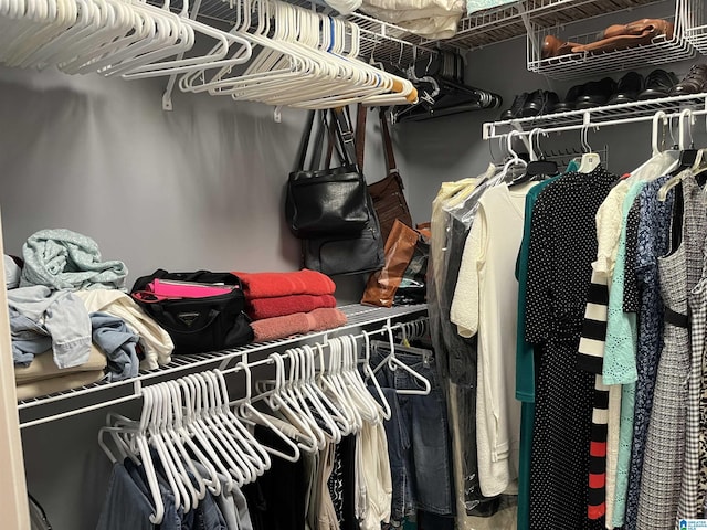 50 Ashton Ln, Sylacauga, AL 35150 - view of walk in closet