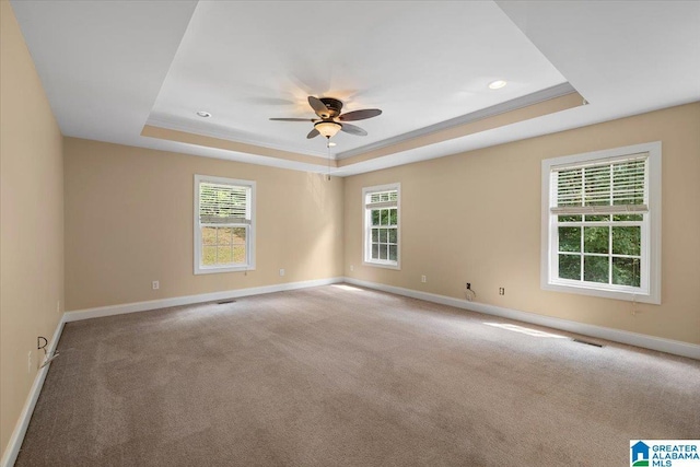 255 Savannah Ln, Cleveland, AL 35049 - empty room featuring a tray ceiling, baseboards, a ceiling fan, carpet floors, and ornamental molding