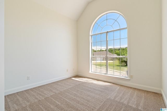 773 Old Cahaba Dr, Helena, AL 35080 - spare room featuring carpet floors, baseboards, and lofted ceiling