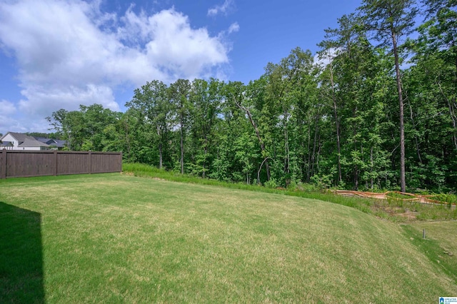 4651 Silas Ave, Hoover, AL 35244 - view of yard