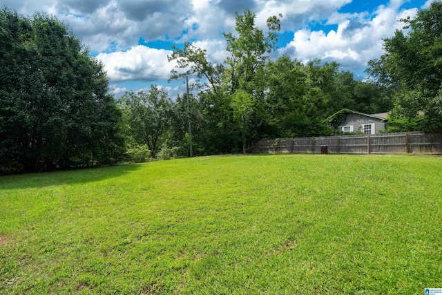 140 Camelia Ave, Gardendale, AL 35071 - view of yard