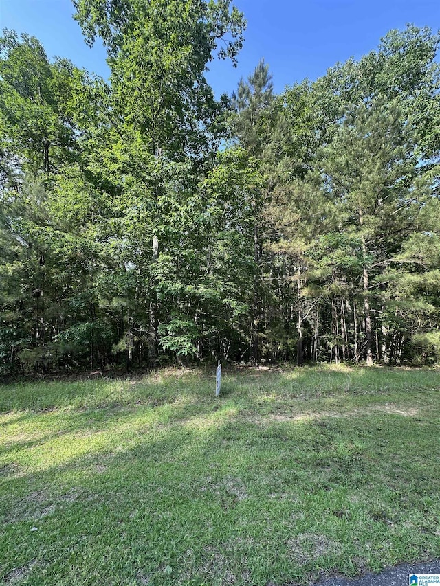 LOT34 Stoney Point Lndg Unit 34, Double Springs, AL 35553