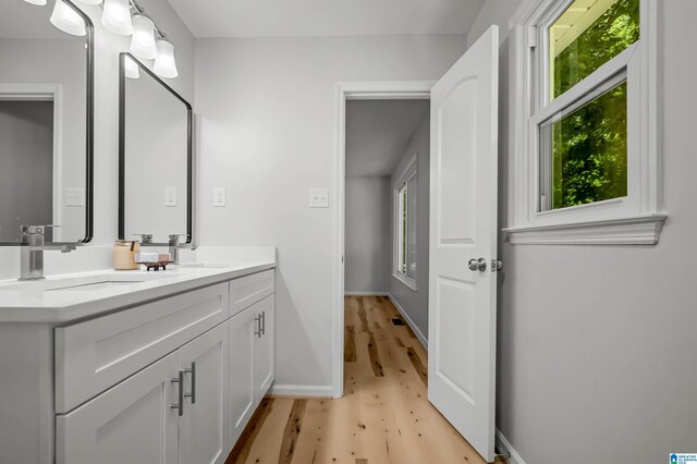 941 Honeysuckle Ln, Moody, AL 35094 - bathroom with wood finished floors, healthy amount of natural light, double vanity, and baseboards