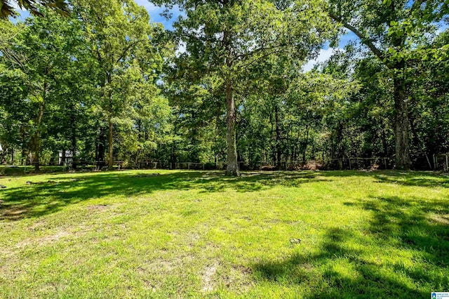 941 Honeysuckle Ln, Moody, AL 35094 - view of yard