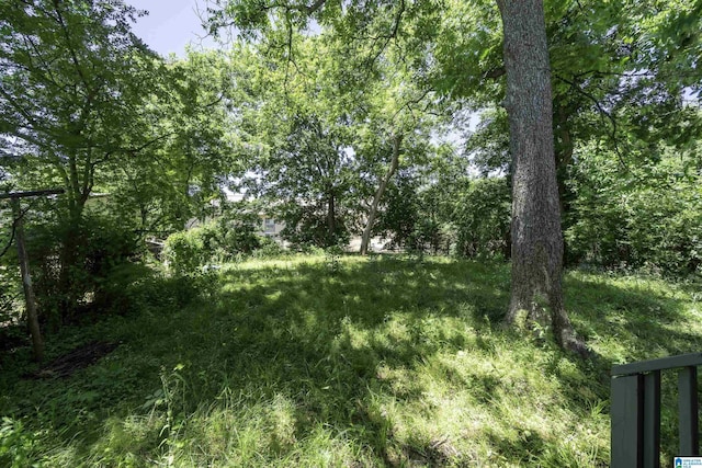 1228 19th Pl SW, Birmingham, AL 35211 - view of undeveloped land