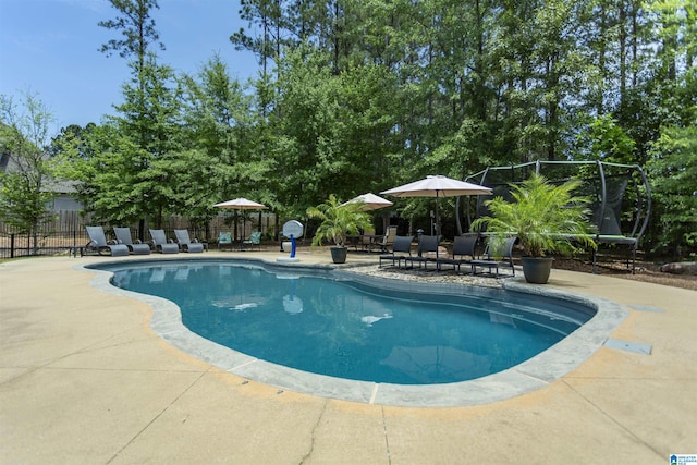 1020 Dunsmore Dr, Chelsea, AL 35043 - view of swimming pool featuring a patio