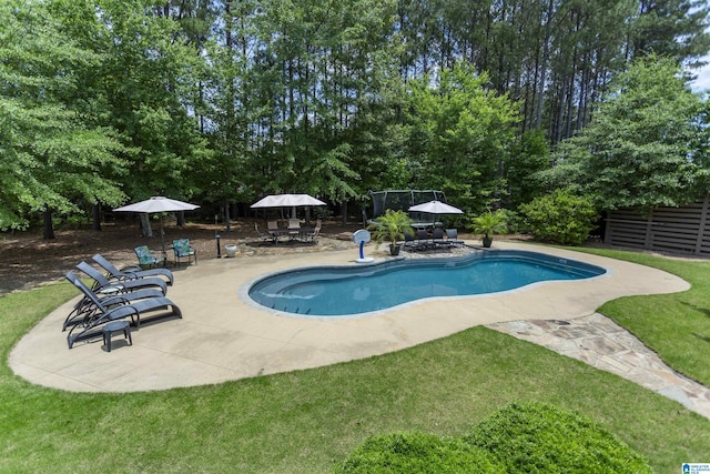1020 Dunsmore Dr, Chelsea, AL 35043 - outdoor pool with a patio, outdoor dining space, and a yard