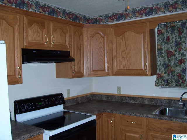 421 Valley Crest Dr, Birmingham, AL 35215 - kitchen featuring range with electric stovetop, under cabinet range hood, a sink, and dark countertops