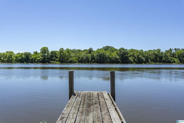 0 Thomas Ln Unit 1, Childersburg, AL 35044