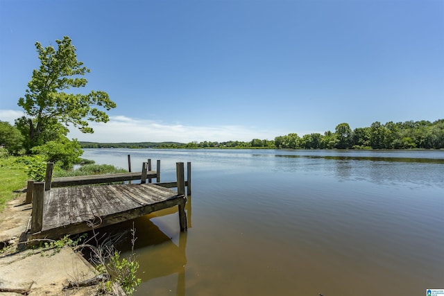 0 Thomas Ln Unit 1, Childersburg, AL 35044