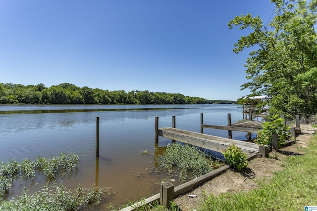0 Thomas Ln Unit 1, Childersburg, AL 35044