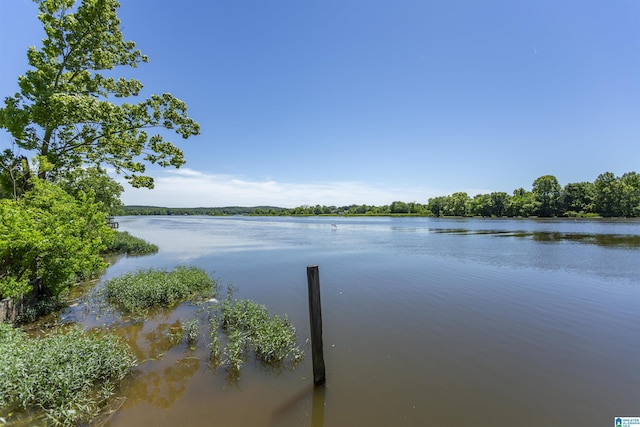0 Thomas Ln Unit 1, Childersburg, AL 35044