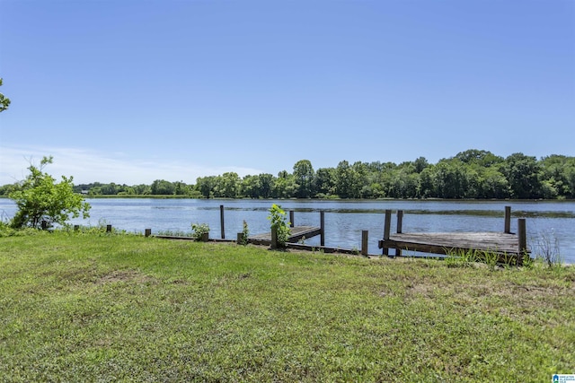 0 Thomas Ln Unit 1, Childersburg, AL 35044